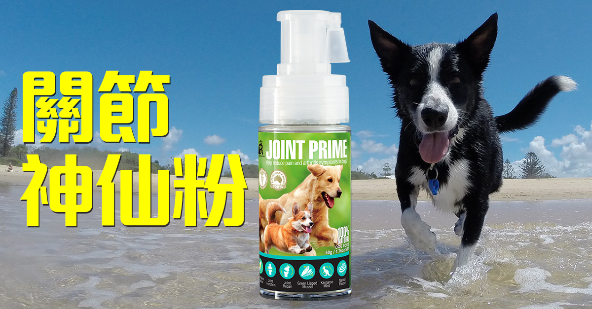 關節神仙粉 Joint Prime ｜ 2021最受歡迎狗狗產品