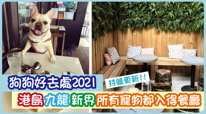 狗狗好去處2021｜港島九龍新界所有寵物都入得餐廳 (持續更新!!)