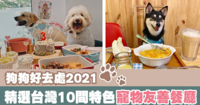 狗狗好去處2021｜精選台灣10間特色寵物友善餐廳