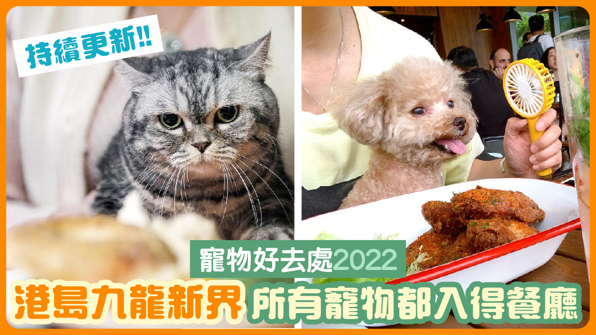 寵物好去處2022｜港島九龍新界所有寵物都入得餐廳 (持續更新!!)