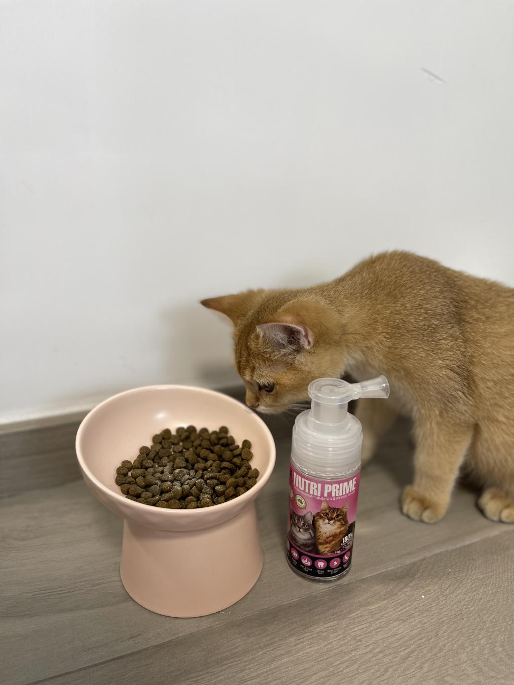 貓貓補營神仙粉 最方便又有豐富營養 #高質回圖