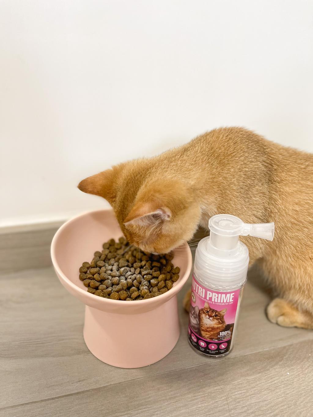 貓貓補營神仙粉 最方便又有豐富營養 #高質回圖