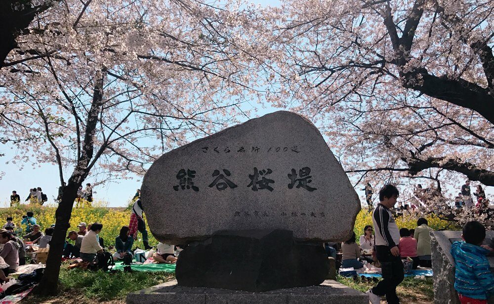 重返日本 | 秩父市櫻花巡禮美食遊 | 1日去足3個櫻花勝地