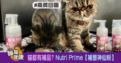 貓都有補品? – Nutri Prime【補營神仙粉】 #高質回圖