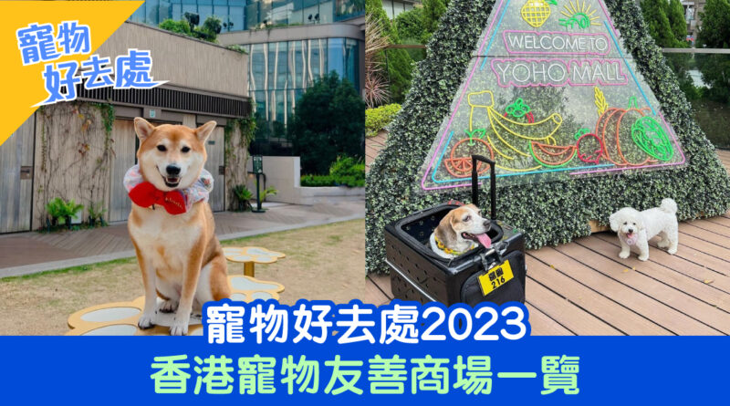 寵物好去處2023｜香港寵物友善商場一覽