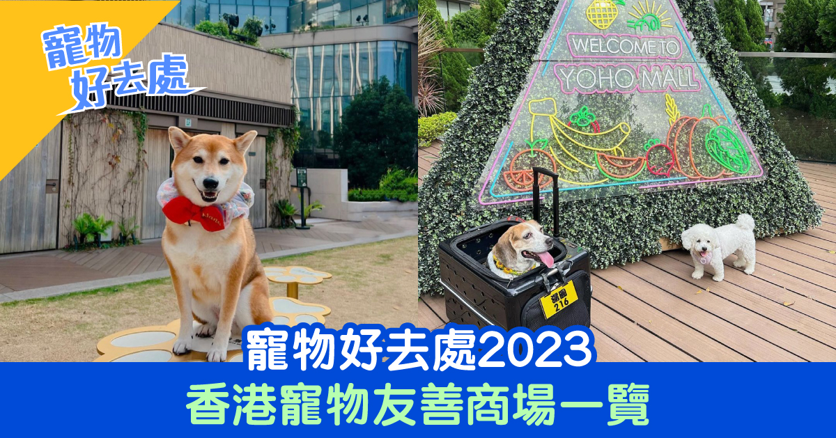 寵物好去處2023｜香港寵物友善商場一覽